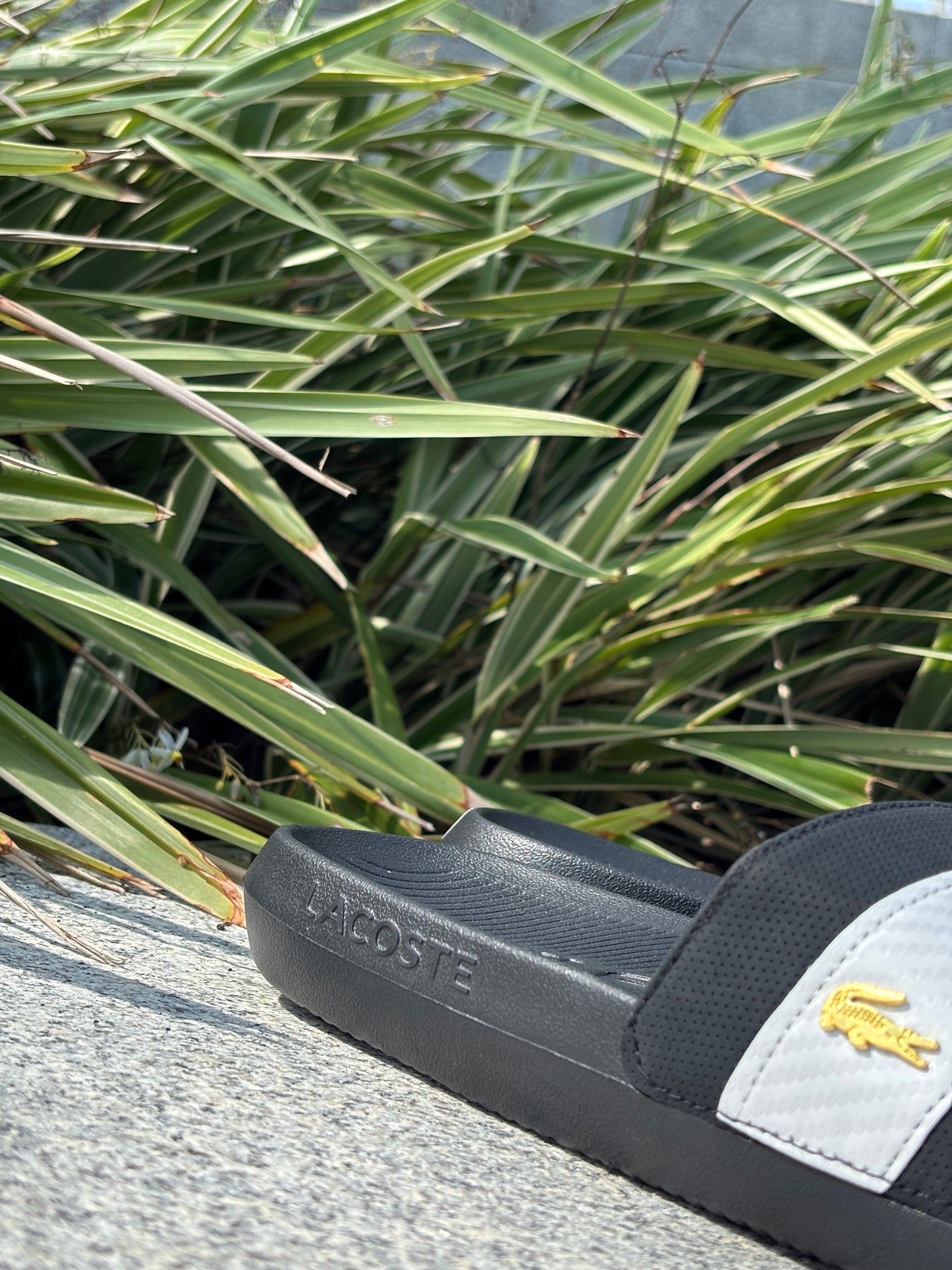 LACOSTE FASHION SLIDES