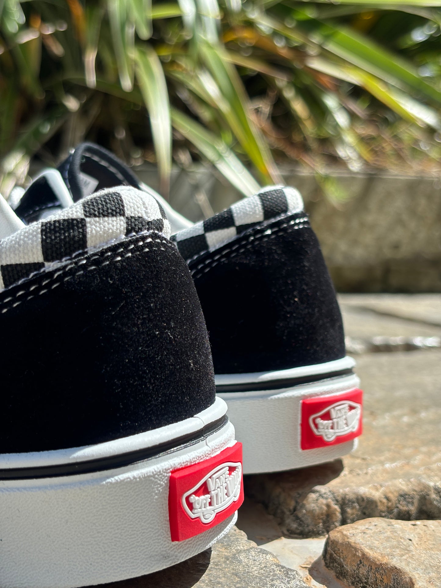 VANS - CHECK SHOE