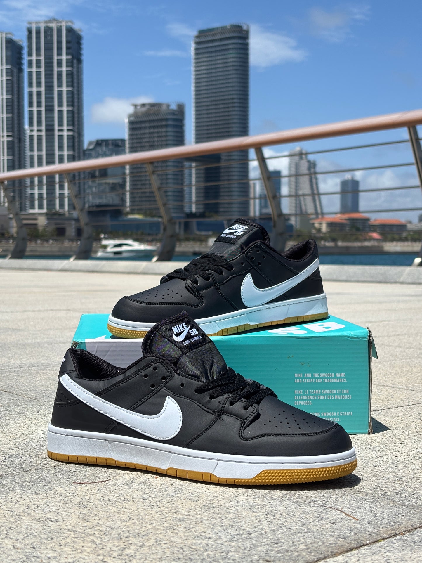 SB DUNK-LOW