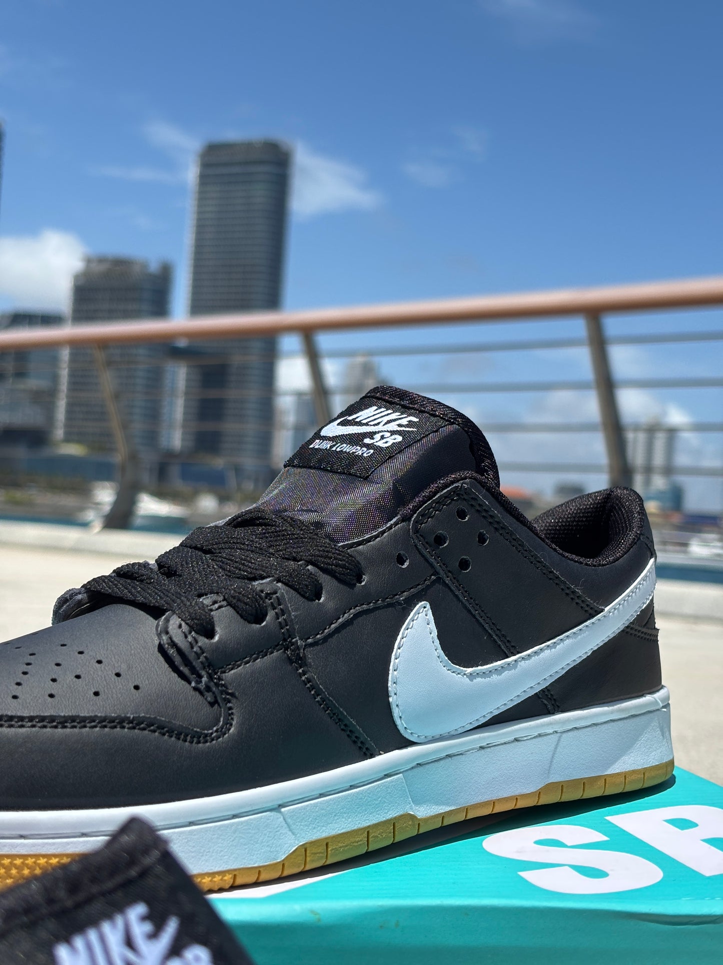SB DUNK-LOW