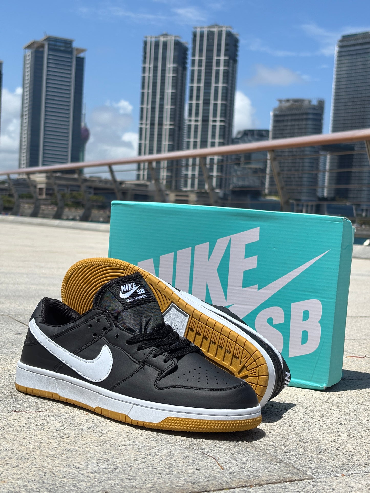 SB DUNK-LOW