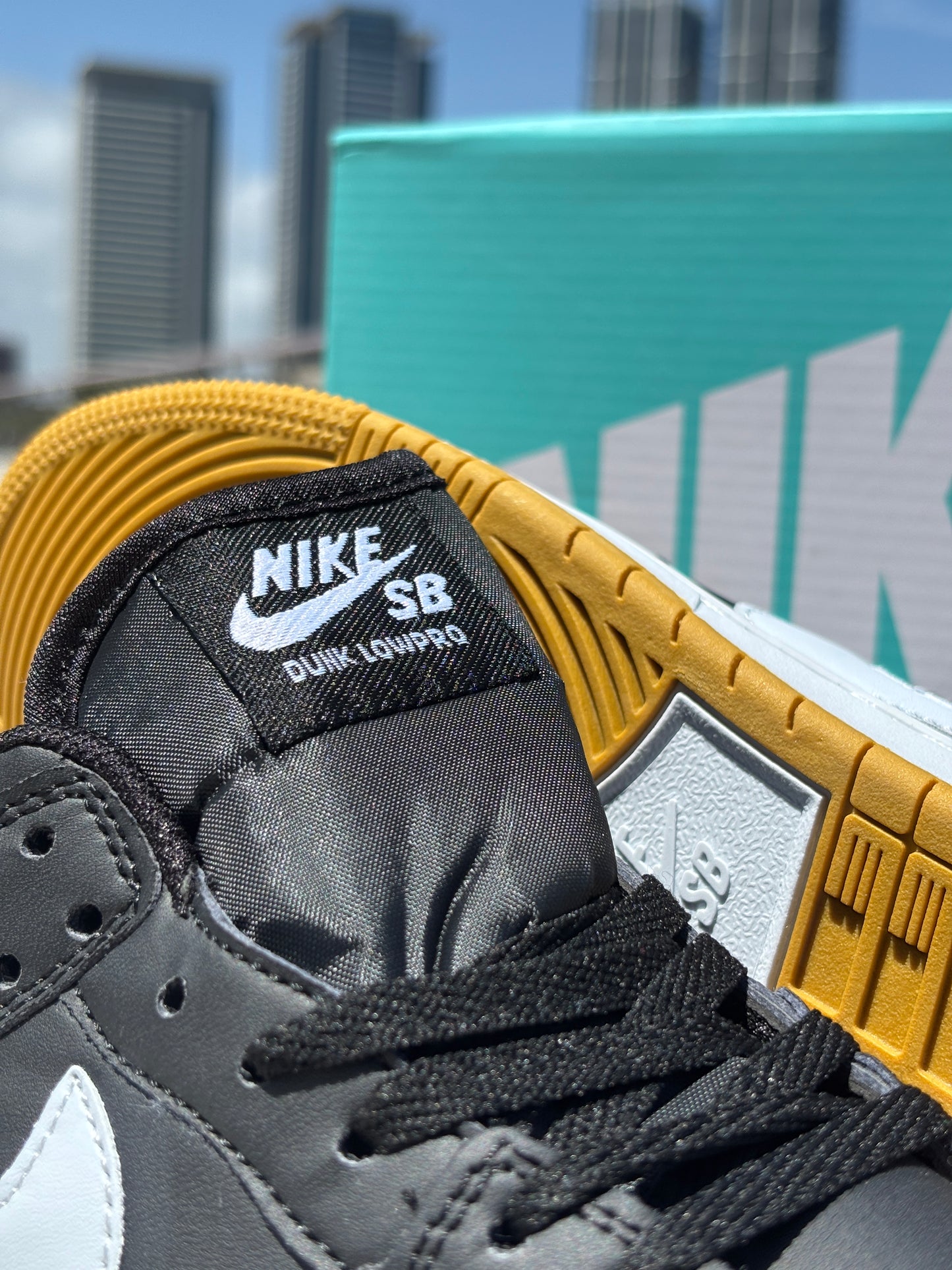 SB DUNK-LOW