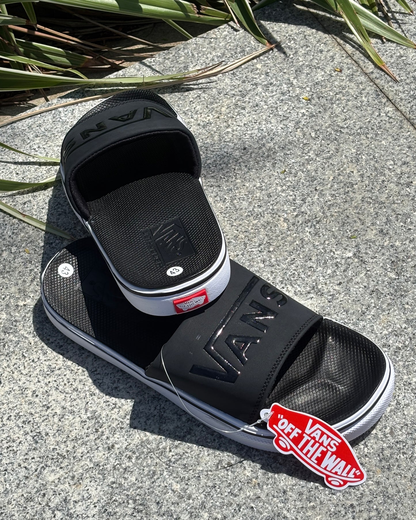 VANS SLIDES