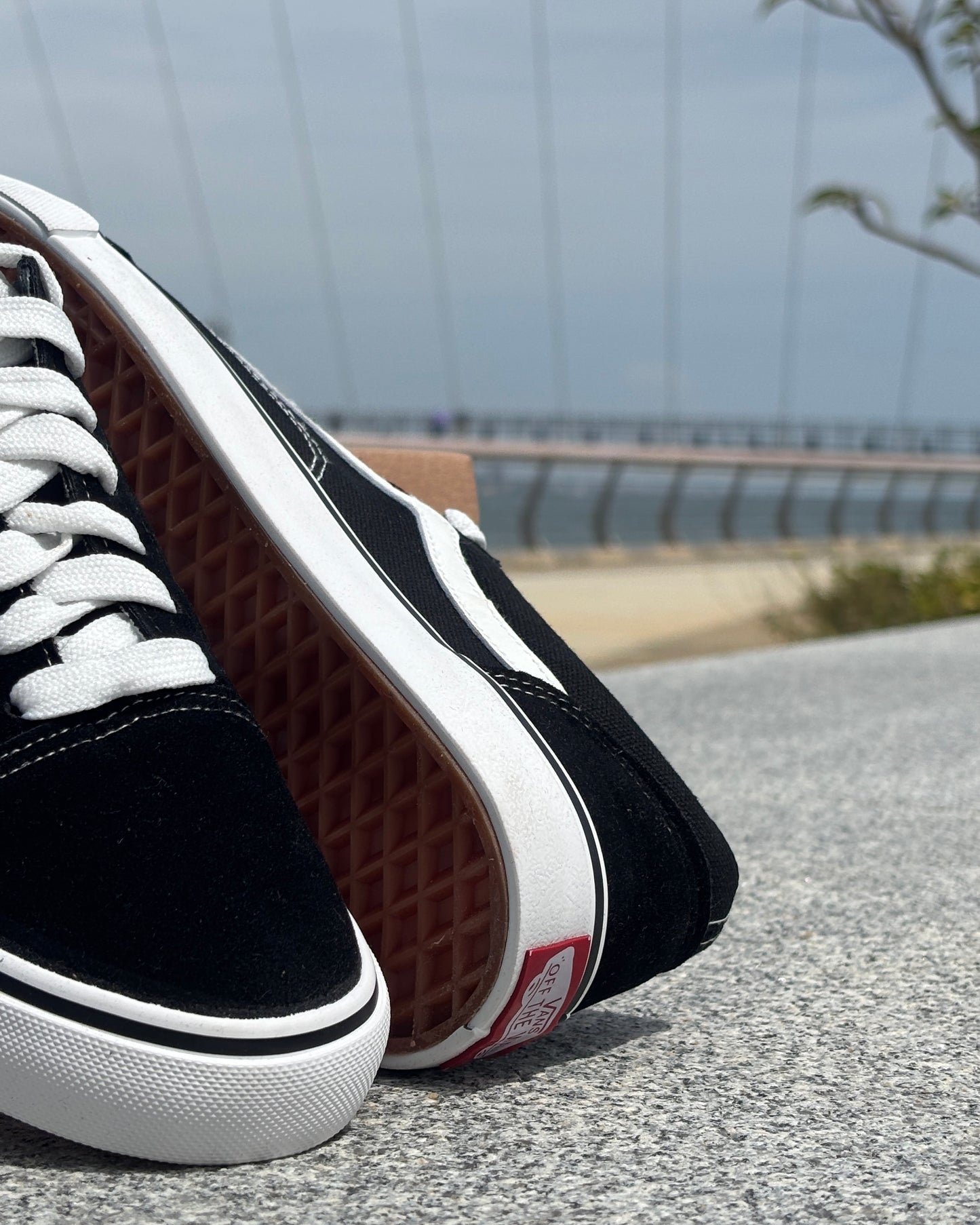 VANS-OLD SKOOL