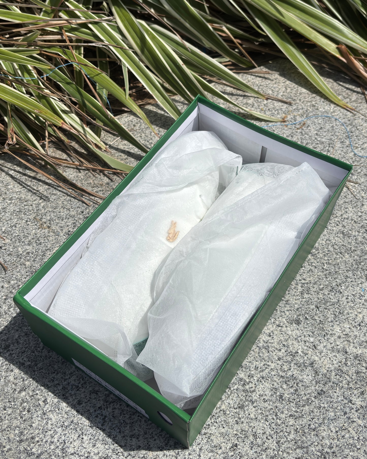 LACOSTE SNEAKER