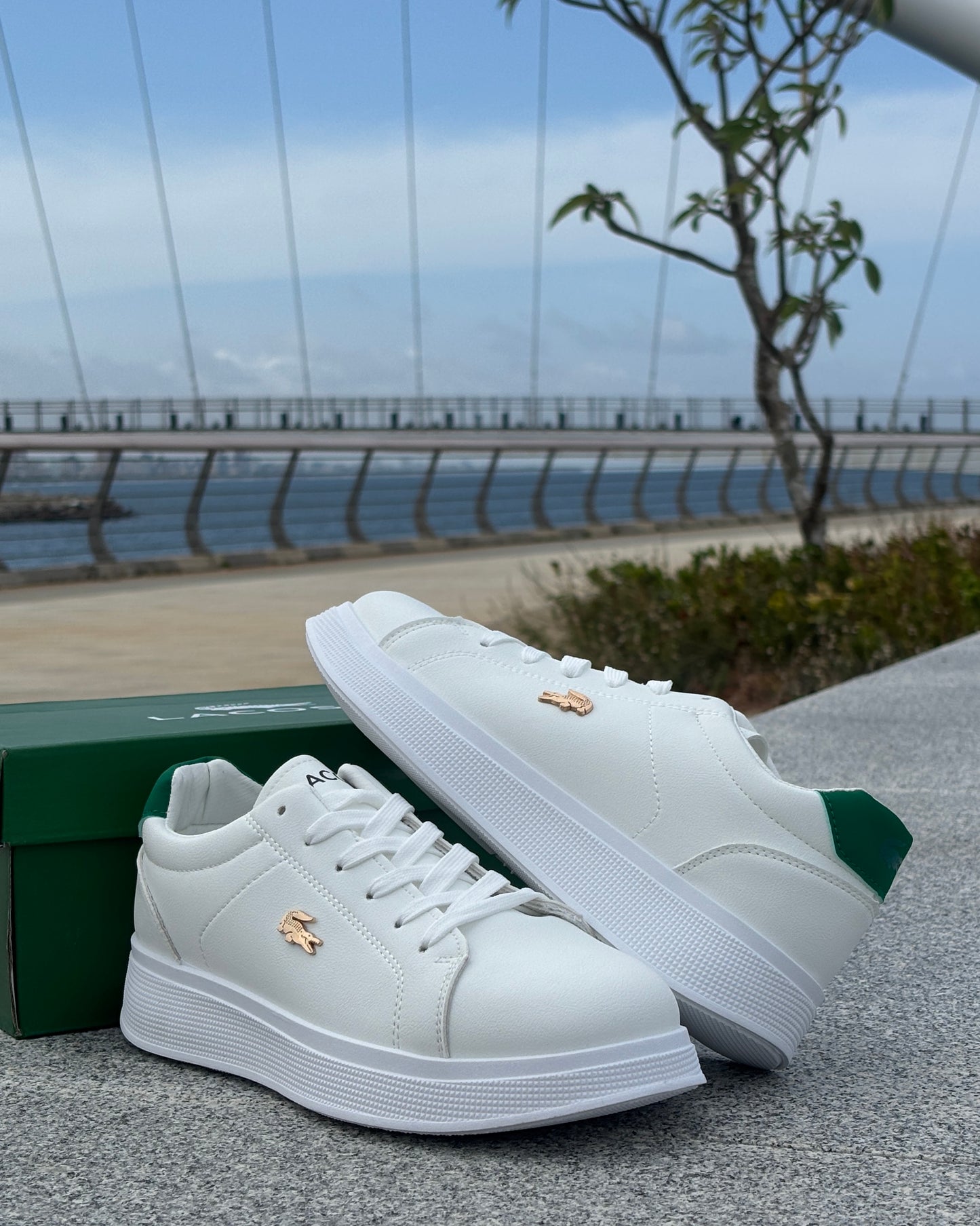 LACOSTE SNEAKER