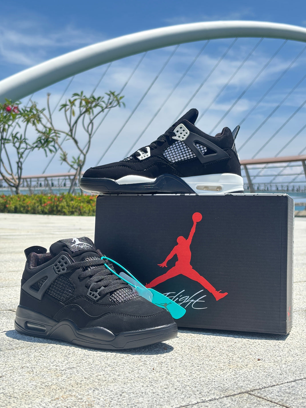 SNEAKERS – The Shoe Station