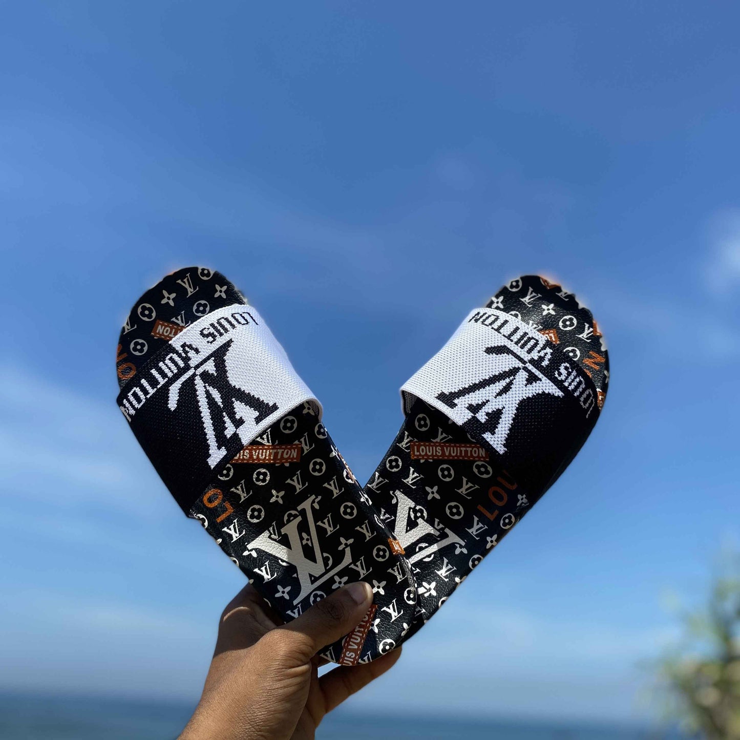 LV Slides