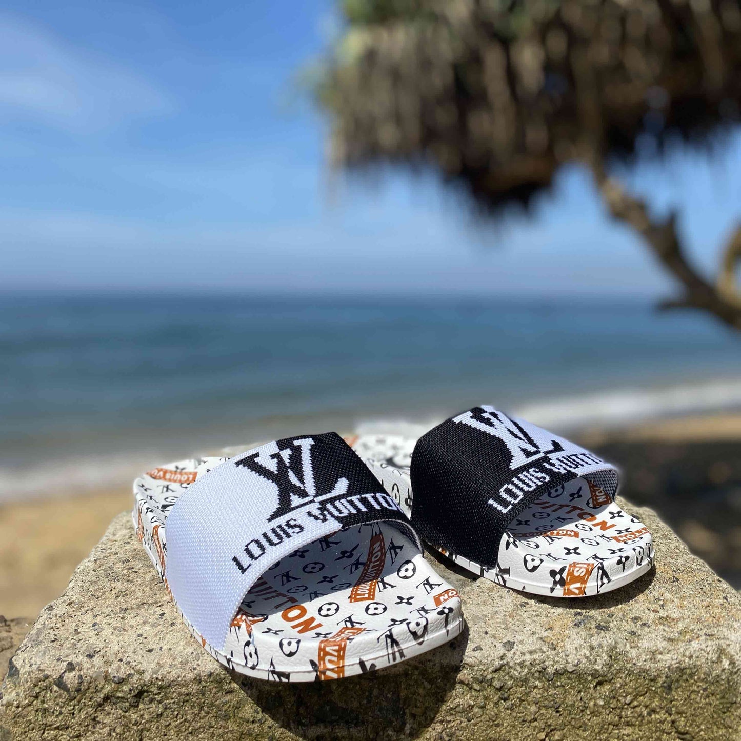 LV Slides