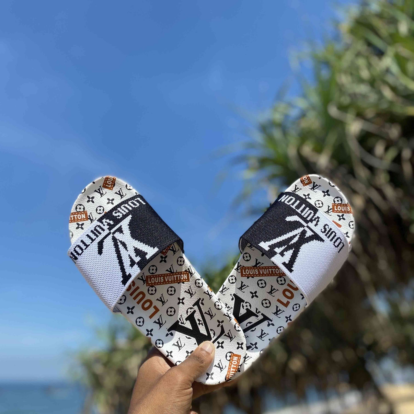 LV Slides