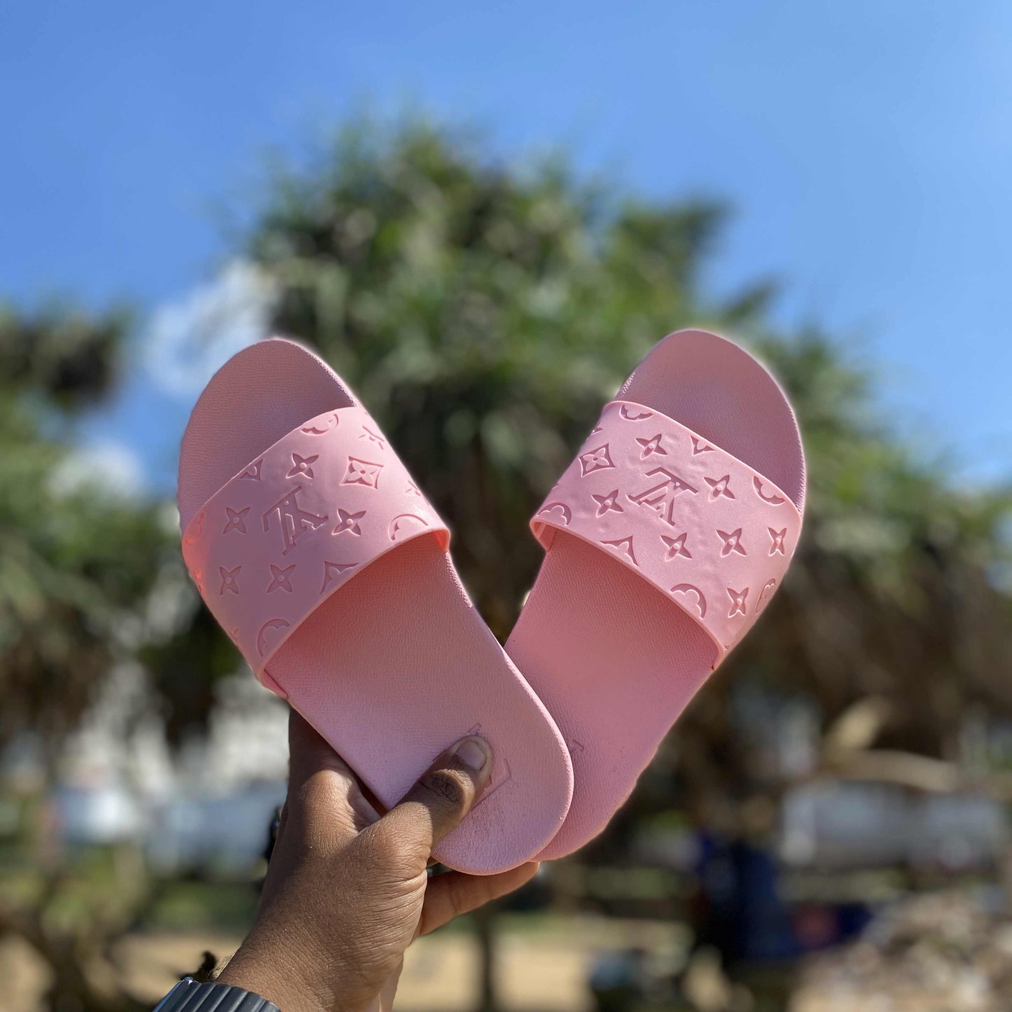 LV Slides