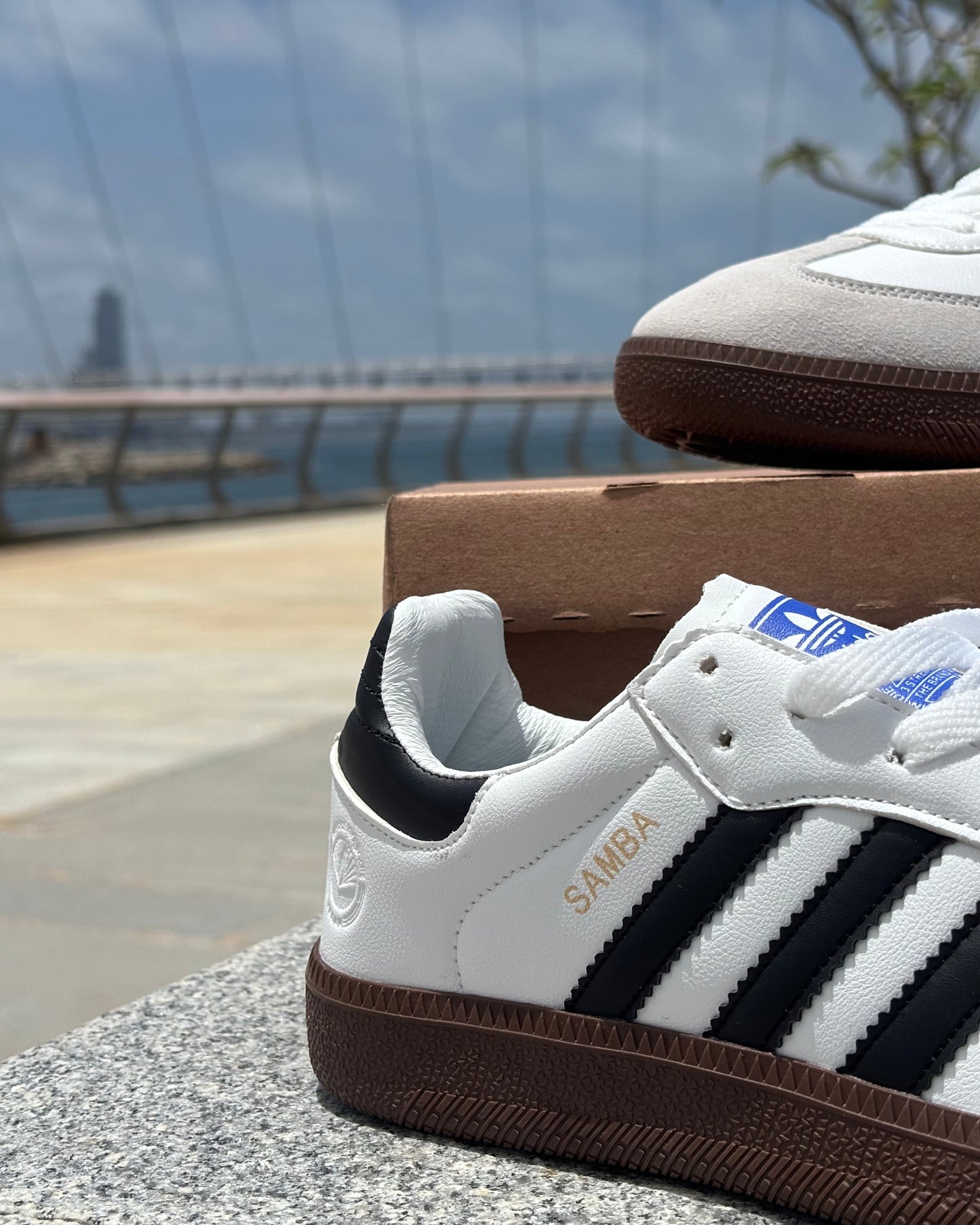 SAMBA- WHITE